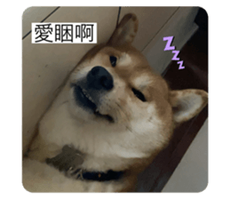 406785374