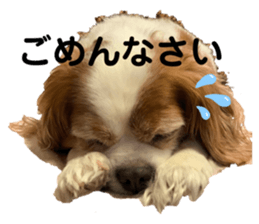 406834361
