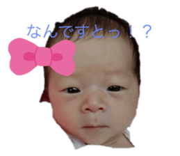 406897031