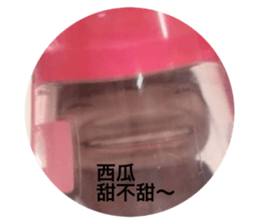 406969331