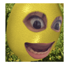 407050213