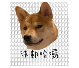 407165704