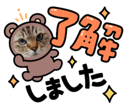 407179071