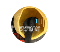 407208486