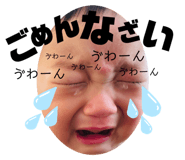 407228743