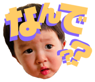 407228751