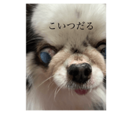 407230126