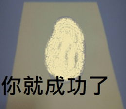 407261869