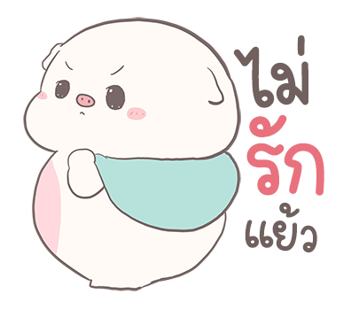 ลายที่ 13