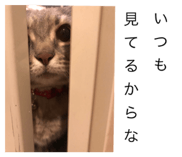 407301832