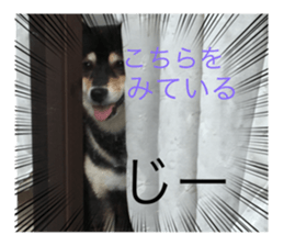 407345005