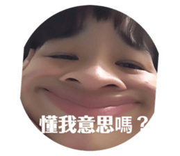 407364081