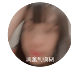 407395590