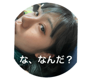 407396819