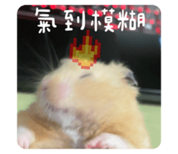 407473257