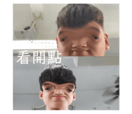 407519025