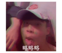407519031
