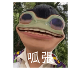 407519034