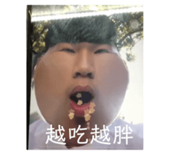 407519037
