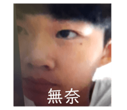 407519042