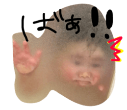 407520690