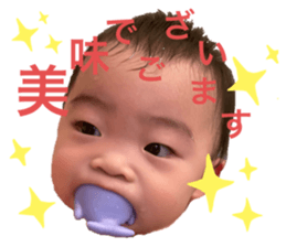 407552461