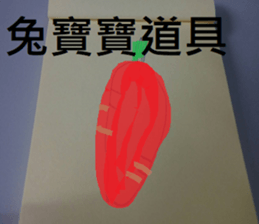407596447