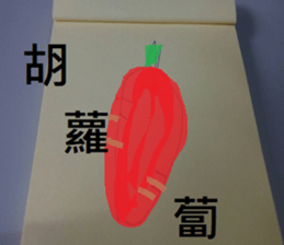 407596448