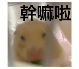 407609260