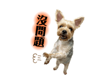 407741239