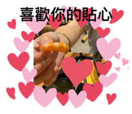 407774557