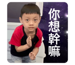 407784808