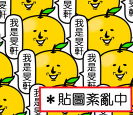 407791663