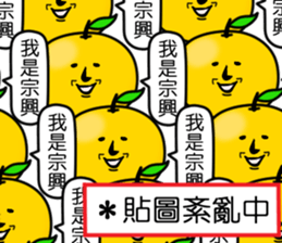 407798567