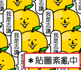 407801575