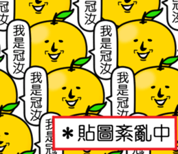 407806551