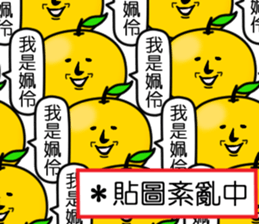 407806839