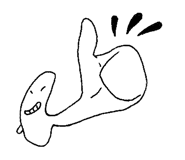 407907658