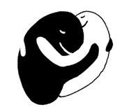407907669