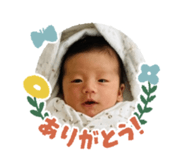 407950280