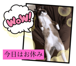 407958482