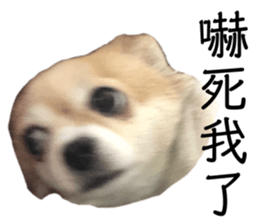 408010285