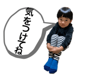 408029019