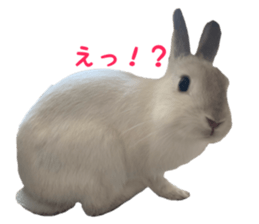 408101339