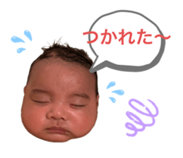 408206423