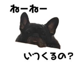 408234062