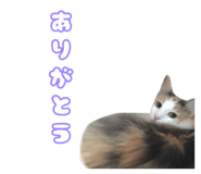 408337329