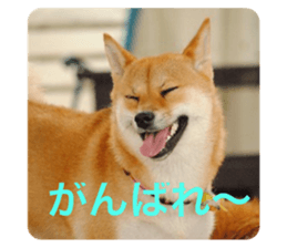 408348464
