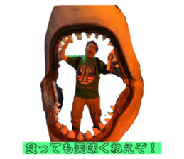 408405044