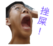408532644